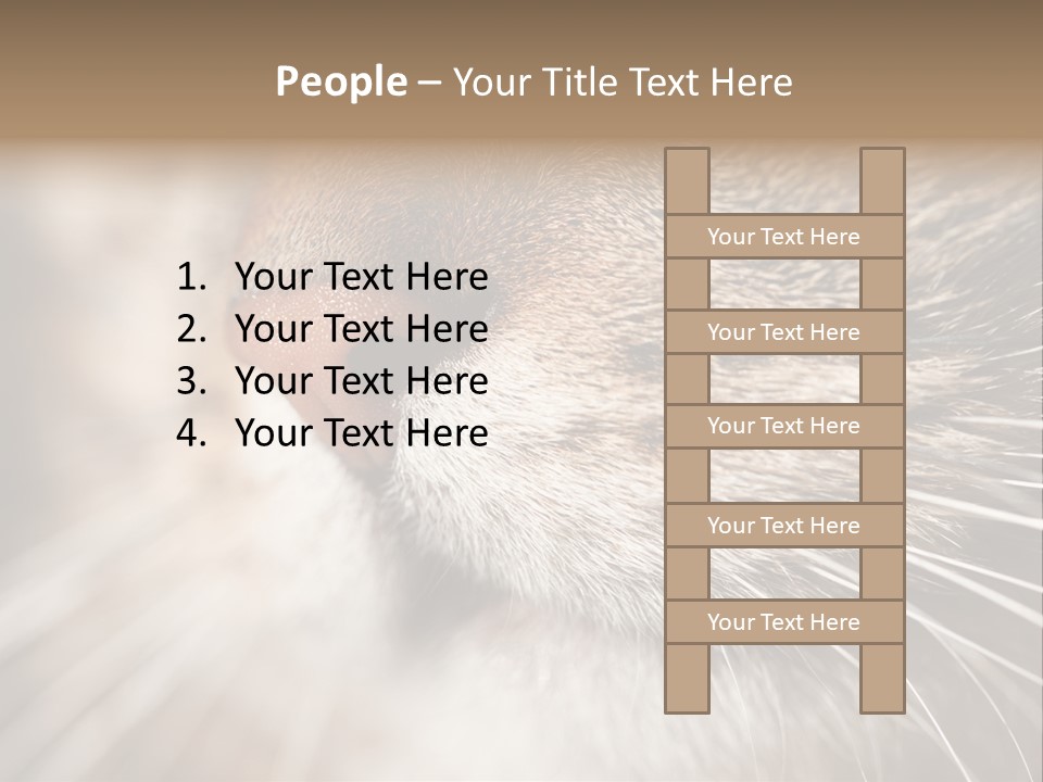 Driving Overtake Town PowerPoint Template