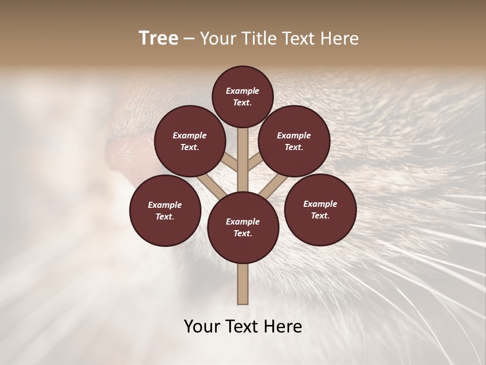 Driving Overtake Town PowerPoint Template