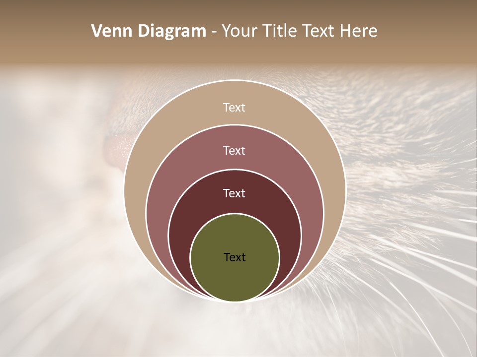 Driving Overtake Town PowerPoint Template