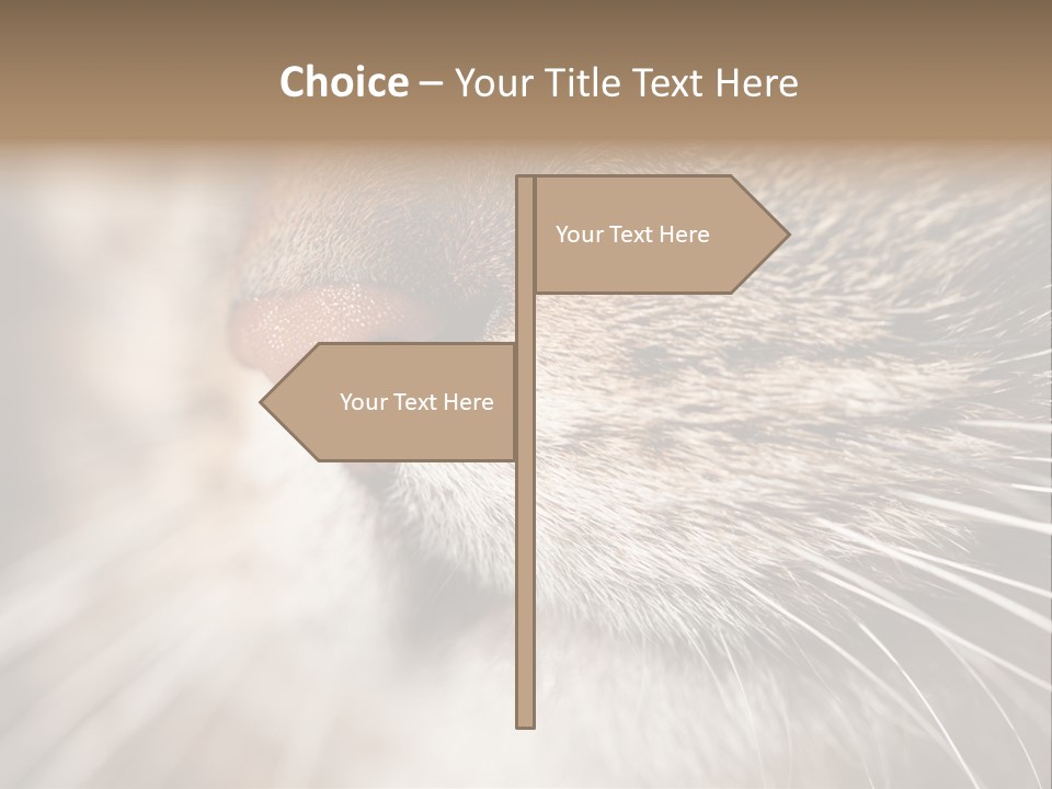 Driving Overtake Town PowerPoint Template