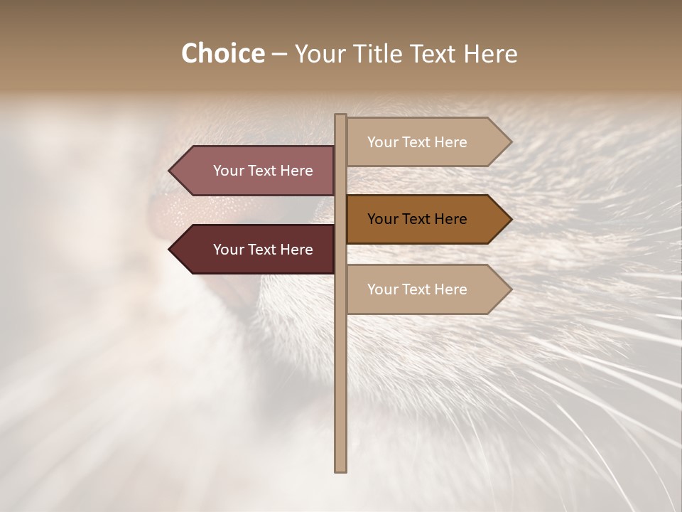 Driving Overtake Town PowerPoint Template