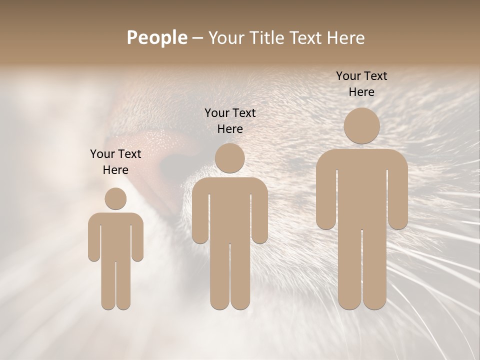 Driving Overtake Town PowerPoint Template