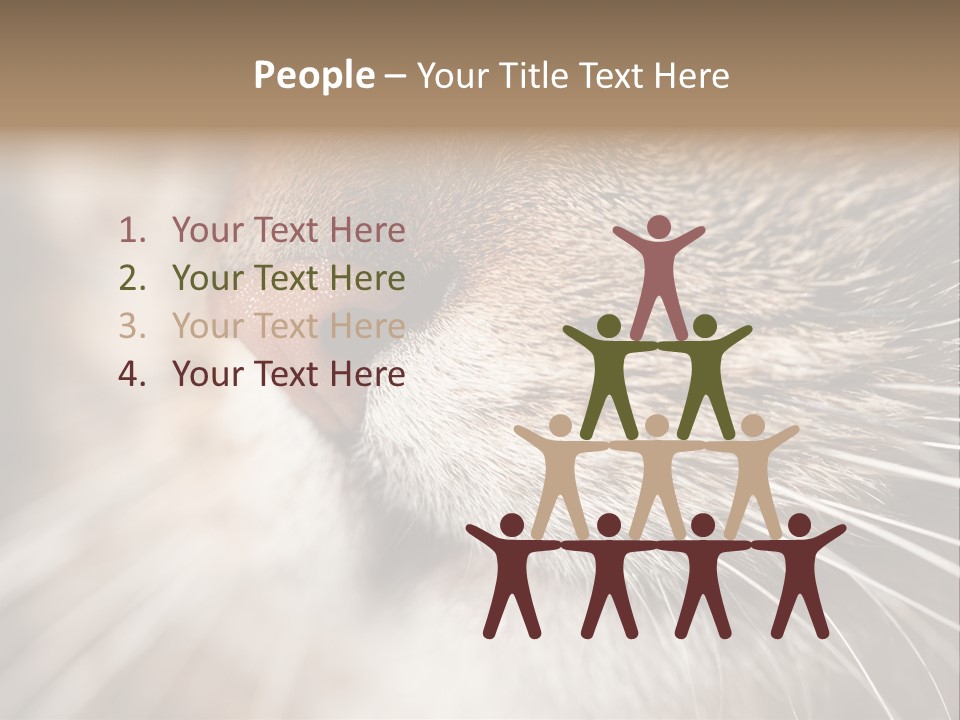 Driving Overtake Town PowerPoint Template