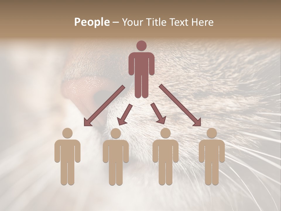 Driving Overtake Town PowerPoint Template