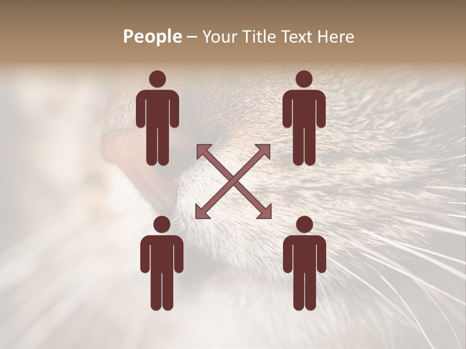 Driving Overtake Town PowerPoint Template