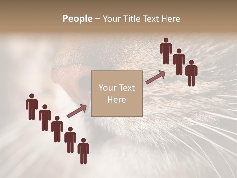 Driving Overtake Town PowerPoint Template