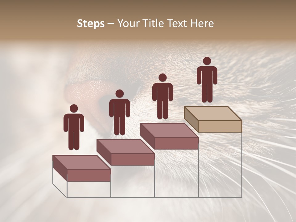 Driving Overtake Town PowerPoint Template