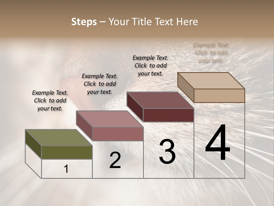 Driving Overtake Town PowerPoint Template