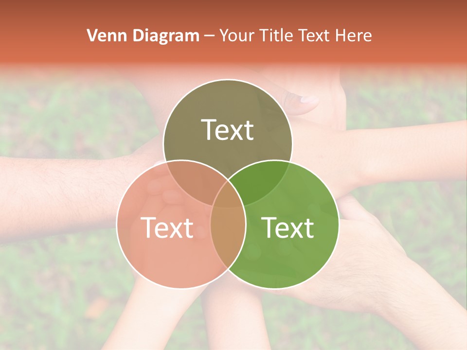 American Arms Concepts PowerPoint Template