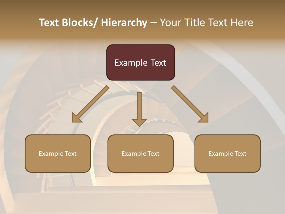 Design Elevate Nautilus PowerPoint Template