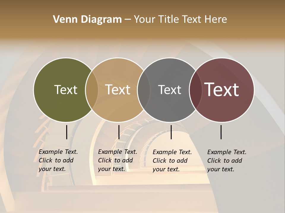 Design Elevate Nautilus PowerPoint Template