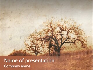 Grunge Elegant Winter PowerPoint Template