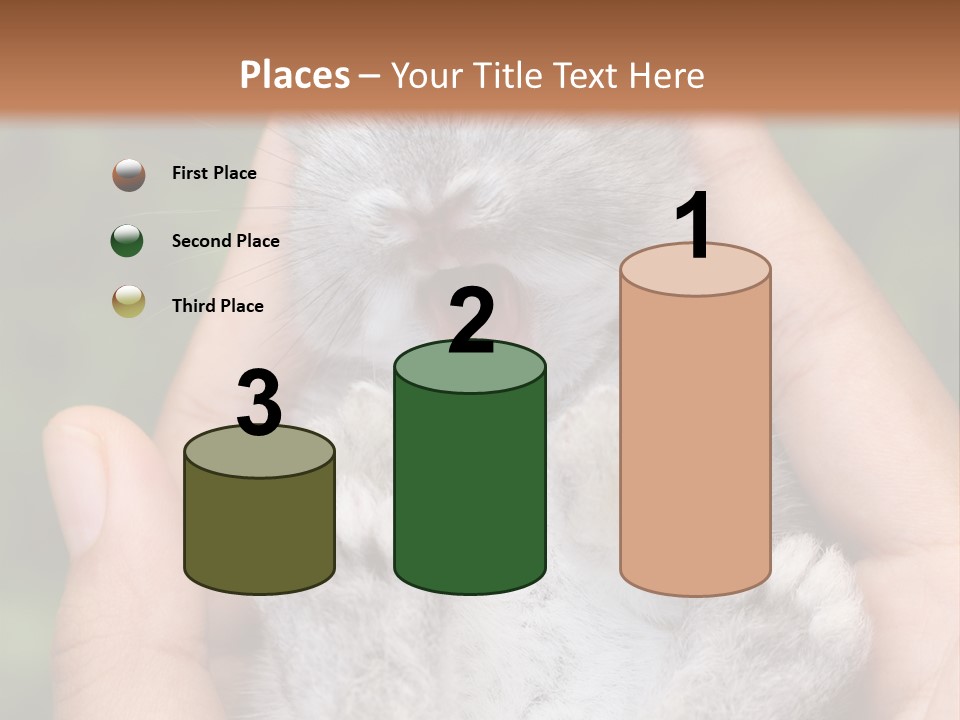 Ears Green Domestic PowerPoint Template