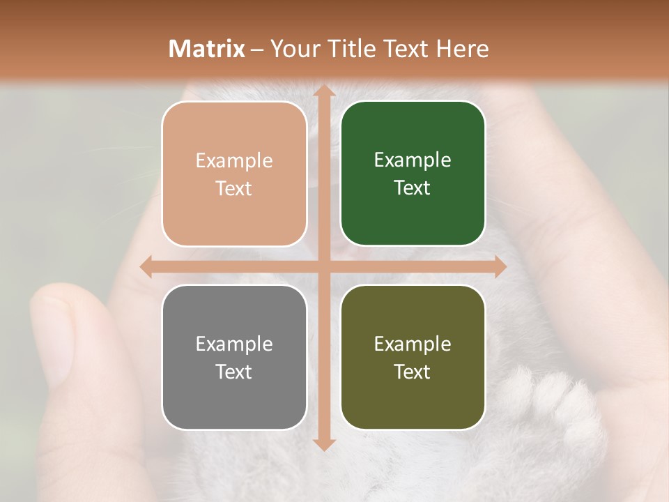 Ears Green Domestic PowerPoint Template