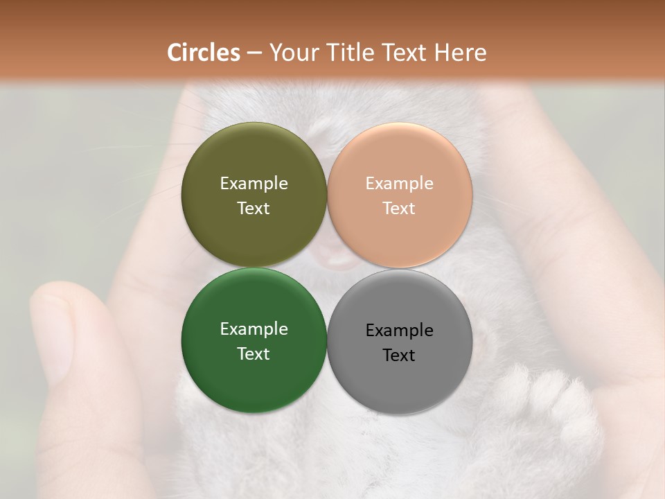 Ears Green Domestic PowerPoint Template