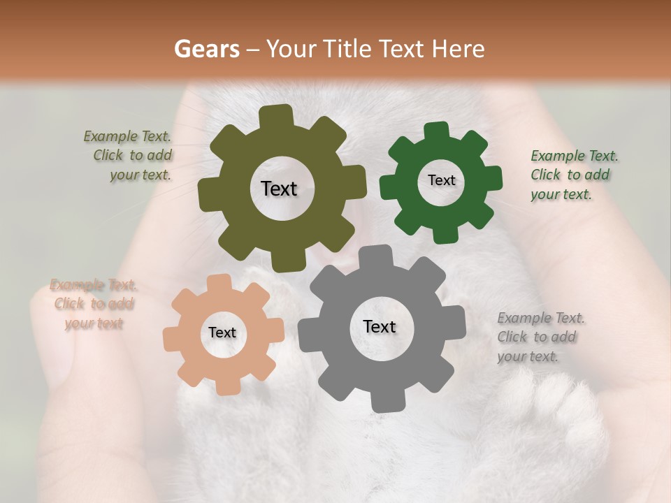 Ears Green Domestic PowerPoint Template