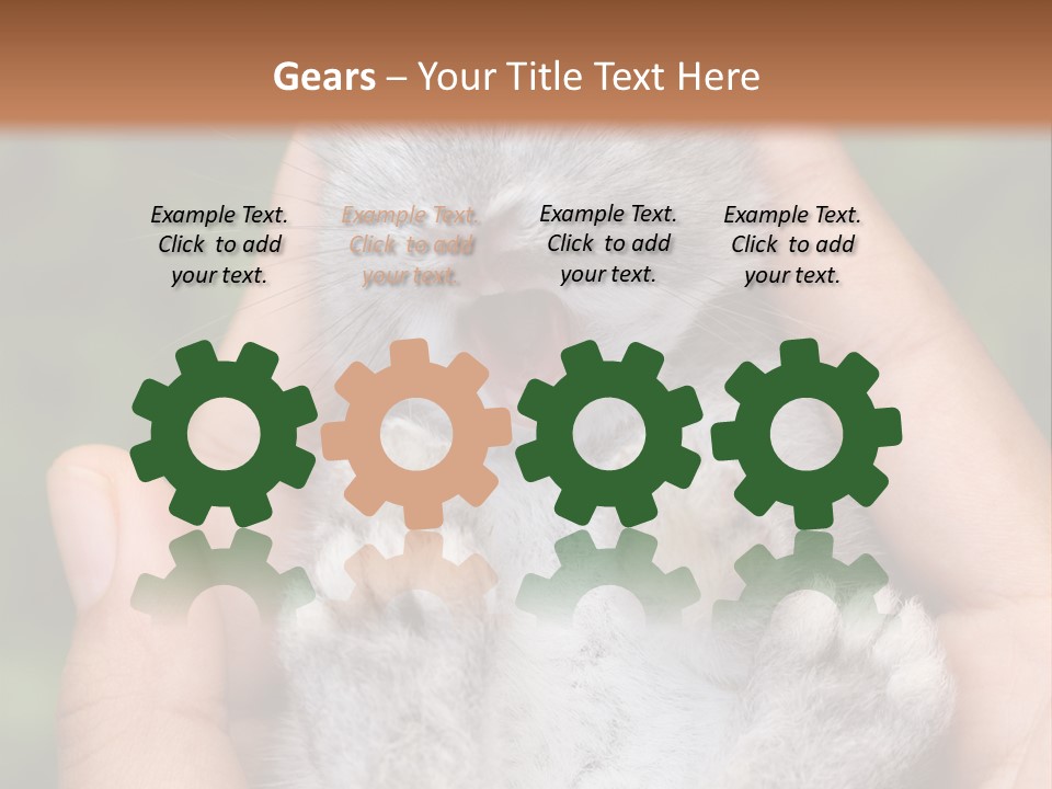 Ears Green Domestic PowerPoint Template