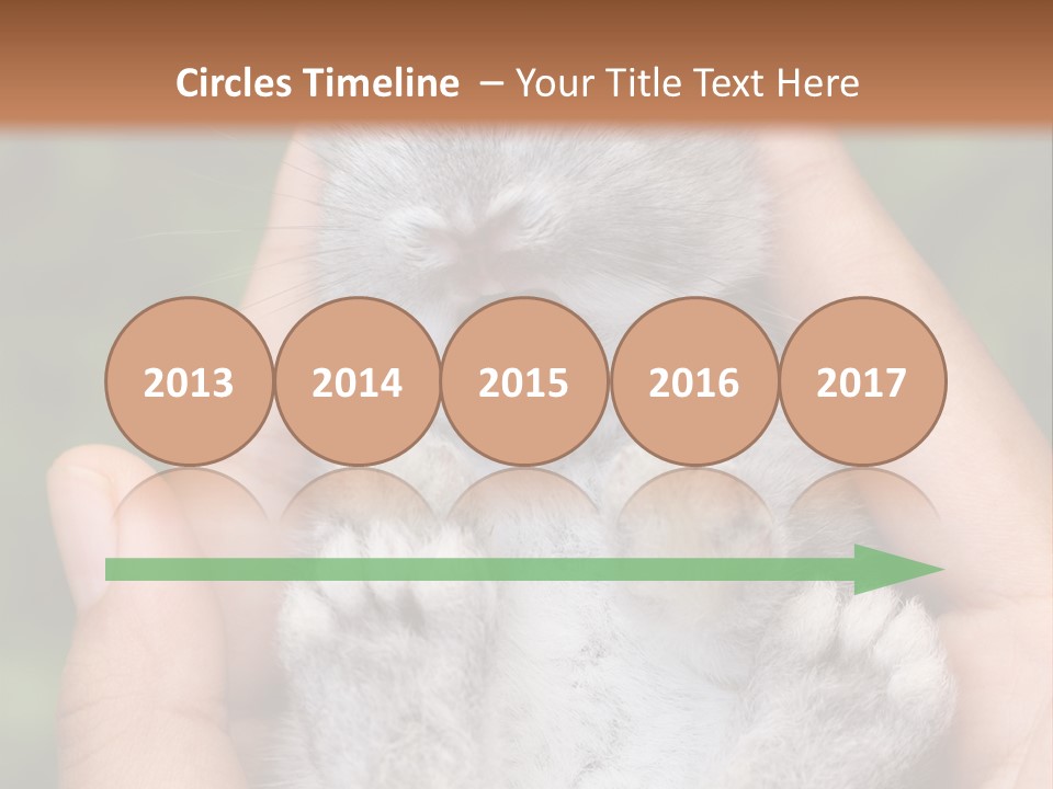 Ears Green Domestic PowerPoint Template