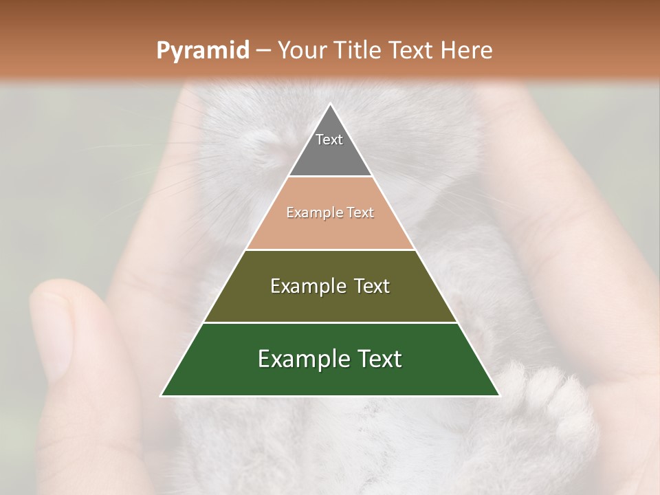 Ears Green Domestic PowerPoint Template