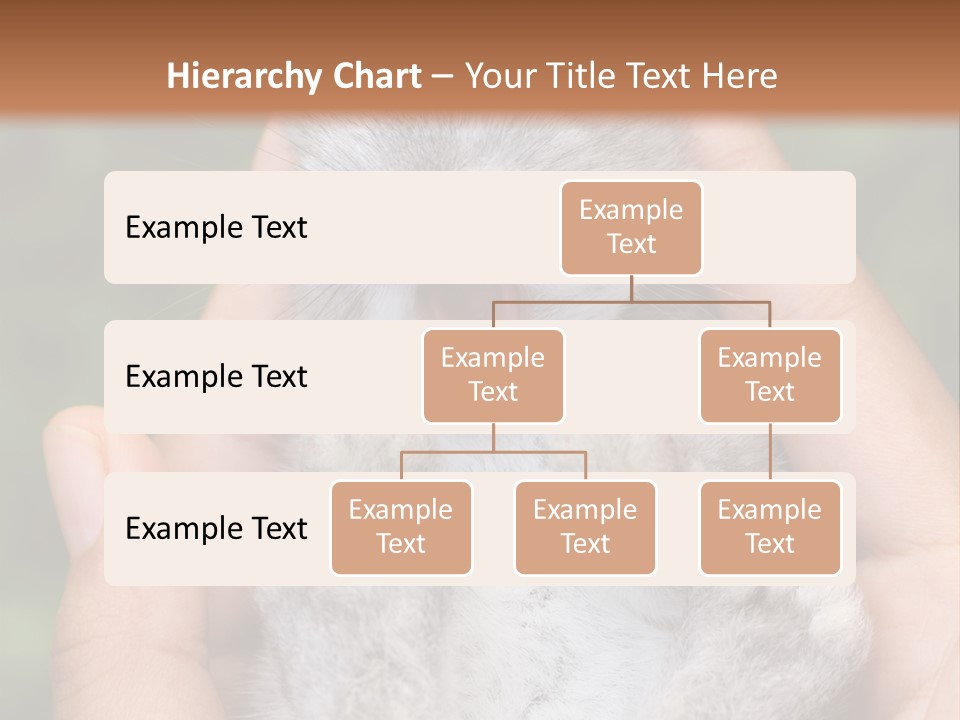 Ears Green Domestic PowerPoint Template