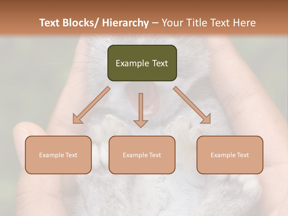 Ears Green Domestic PowerPoint Template