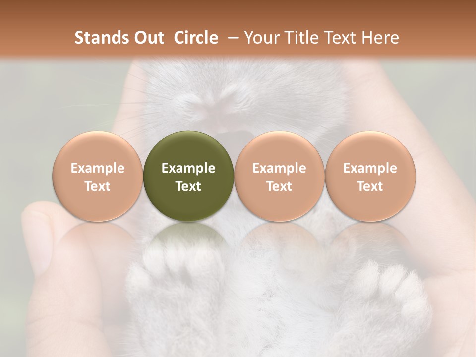 Ears Green Domestic PowerPoint Template