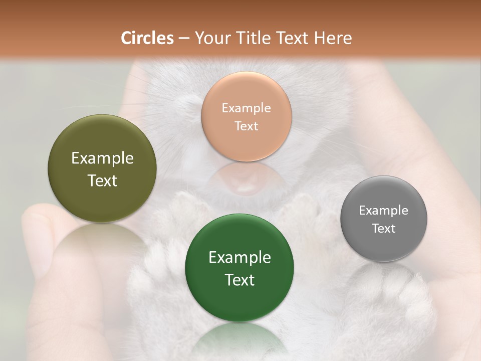 Ears Green Domestic PowerPoint Template