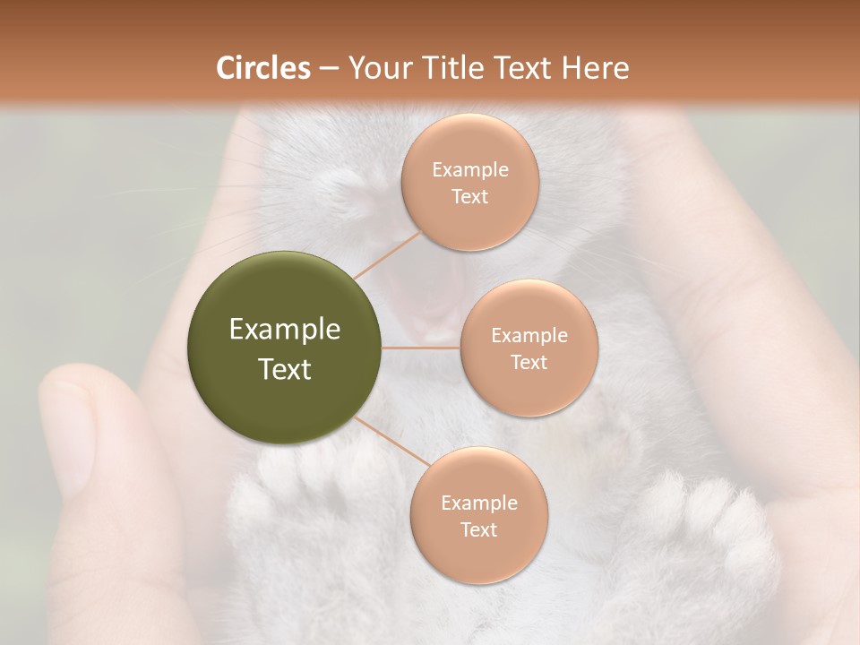 Ears Green Domestic PowerPoint Template