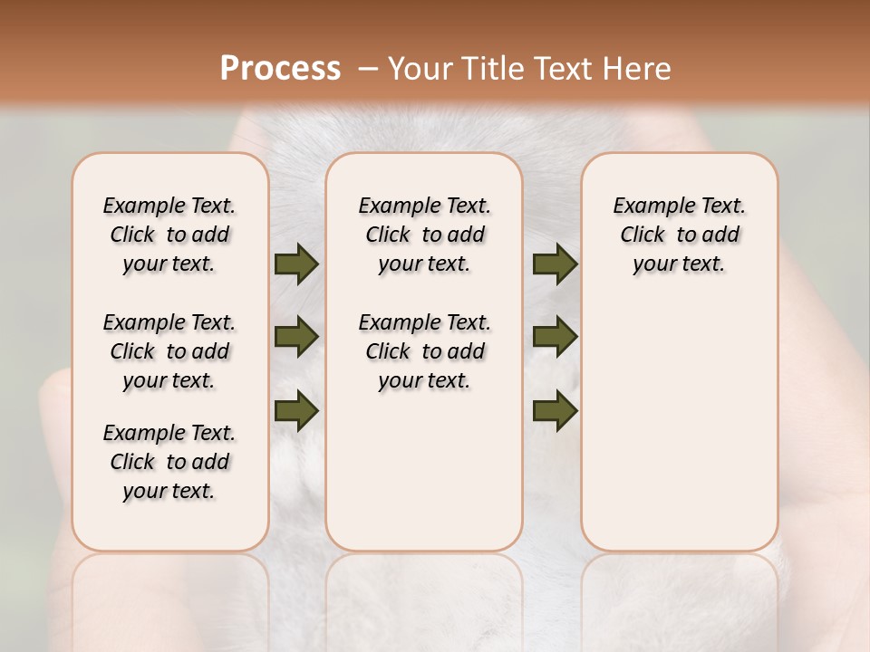 Ears Green Domestic PowerPoint Template