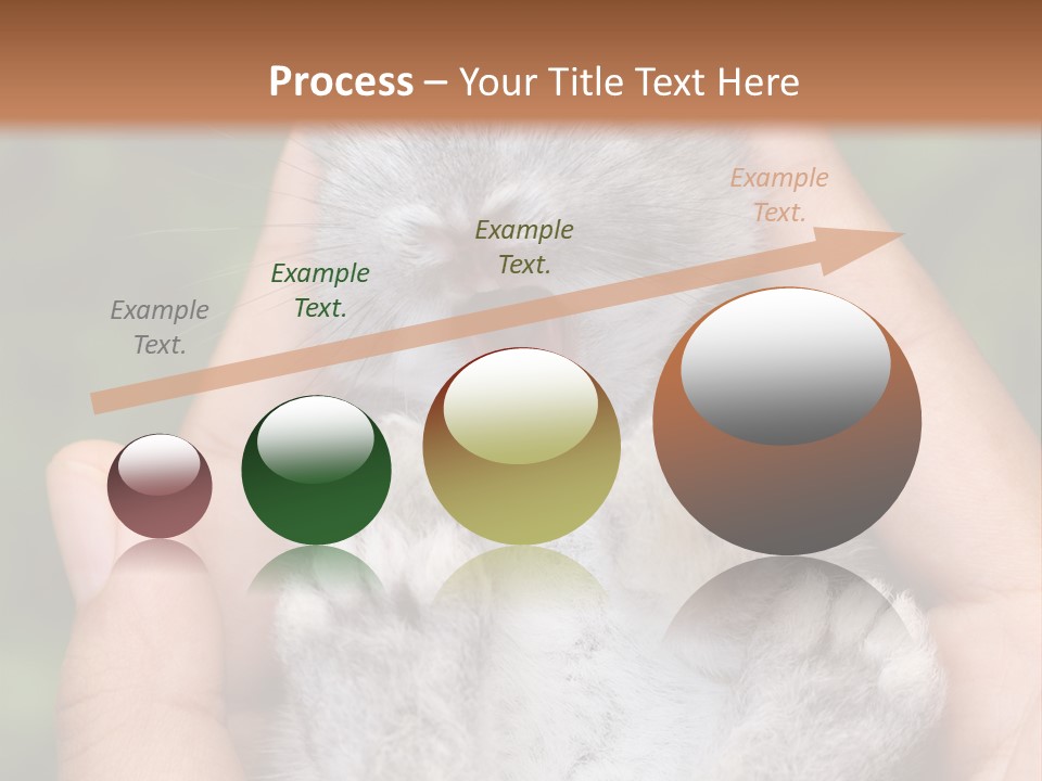 Ears Green Domestic PowerPoint Template