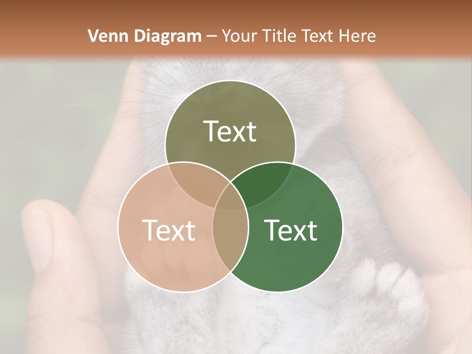 Ears Green Domestic PowerPoint Template