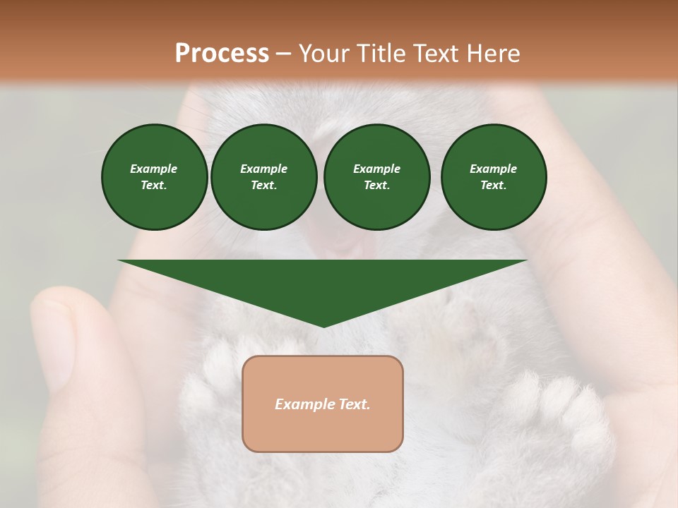 Ears Green Domestic PowerPoint Template