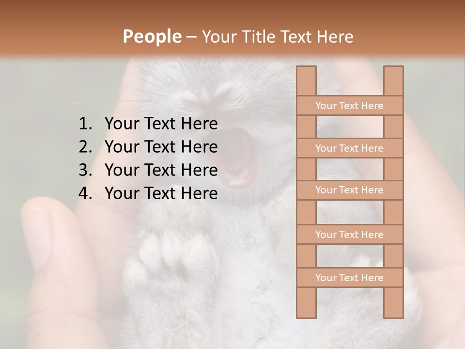 Ears Green Domestic PowerPoint Template