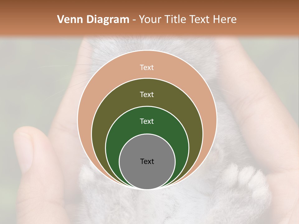Ears Green Domestic PowerPoint Template