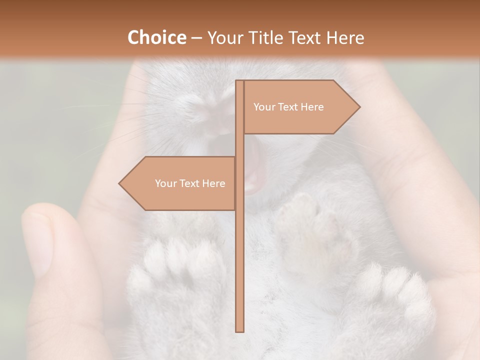 Ears Green Domestic PowerPoint Template