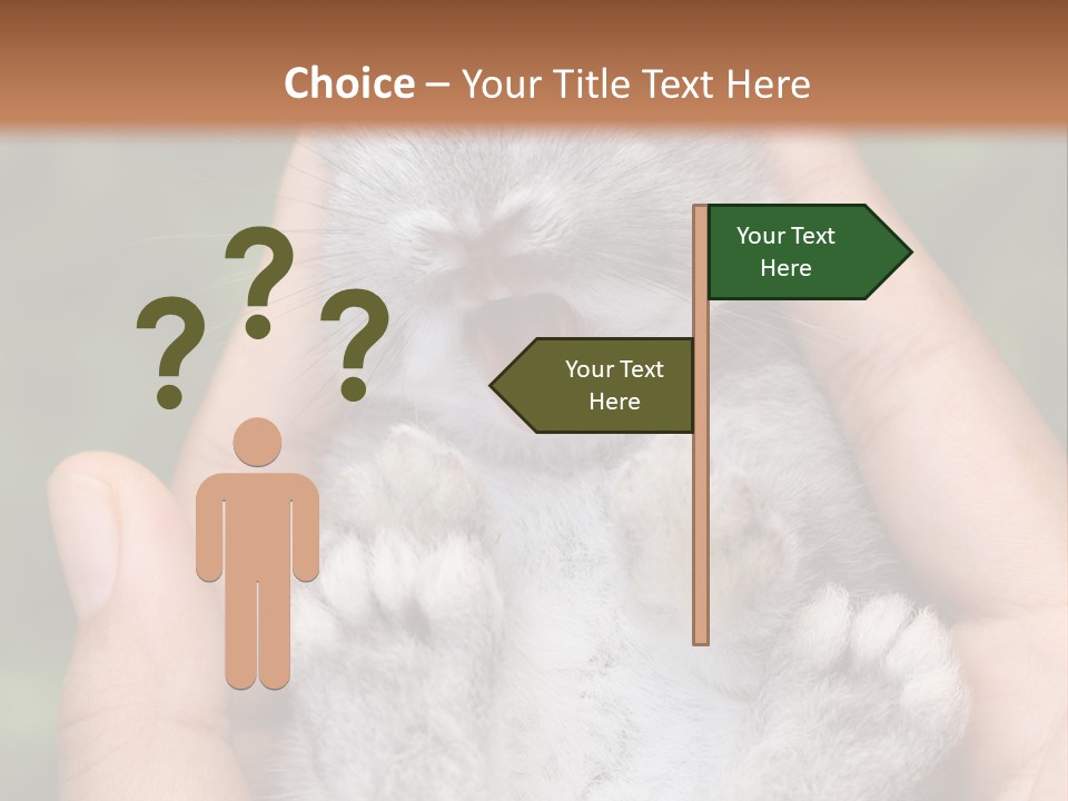 Ears Green Domestic PowerPoint Template