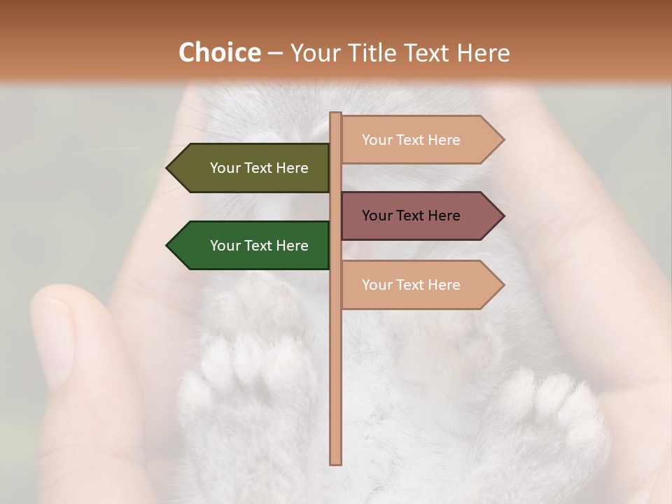 Ears Green Domestic PowerPoint Template