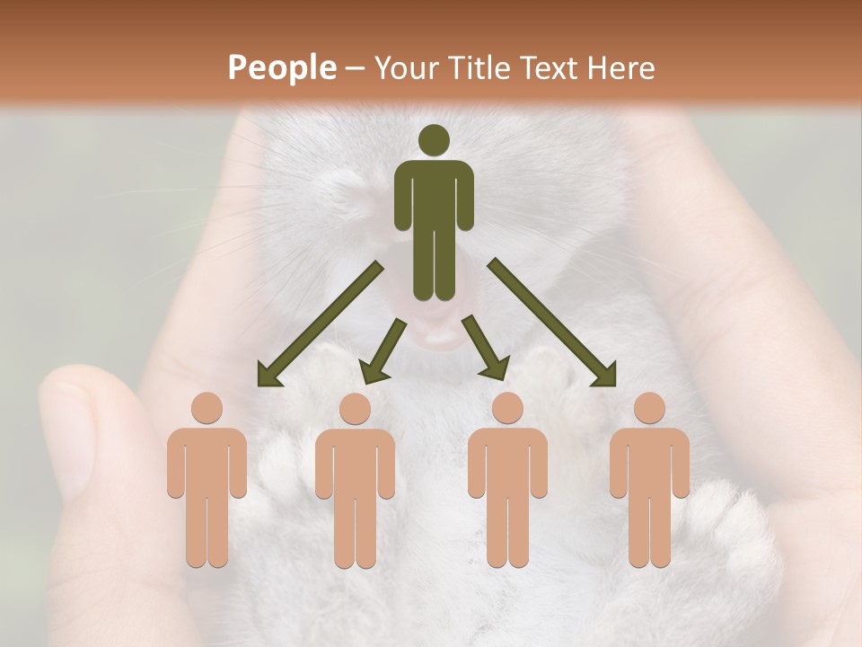 Ears Green Domestic PowerPoint Template