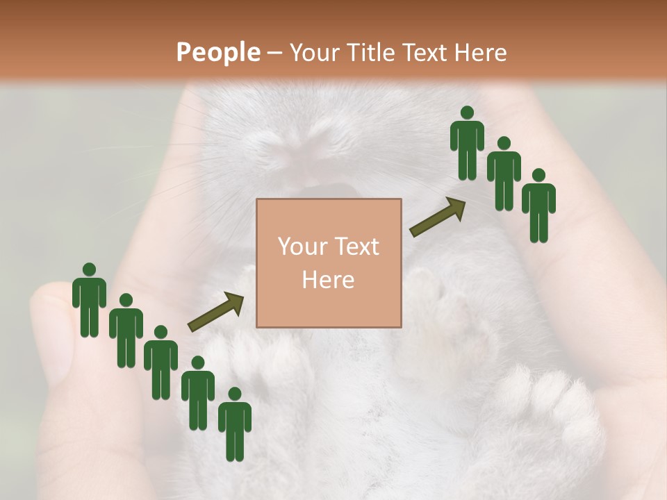 Ears Green Domestic PowerPoint Template