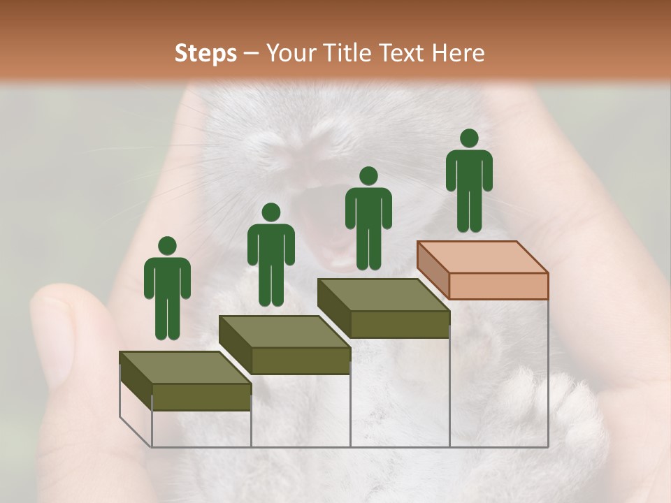 Ears Green Domestic PowerPoint Template