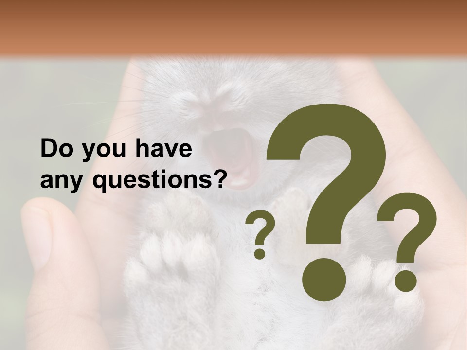 Ears Green Domestic PowerPoint Template