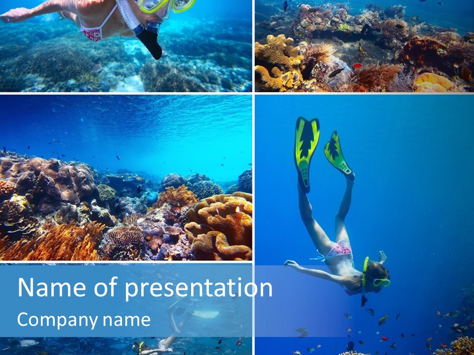 Fish Paradise Human PowerPoint Template