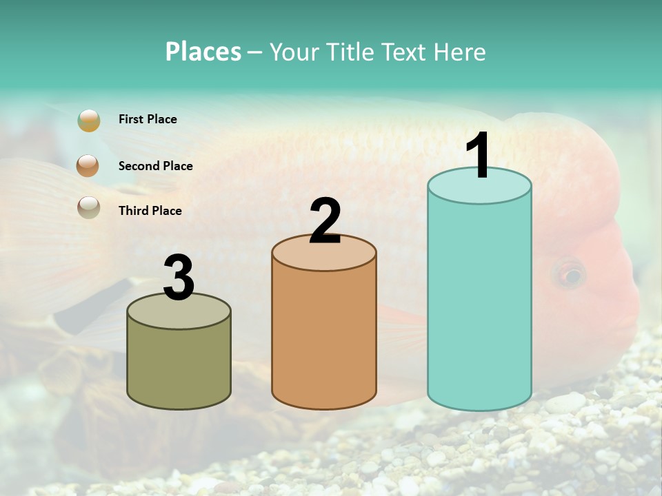 Life Image Organism PowerPoint Template