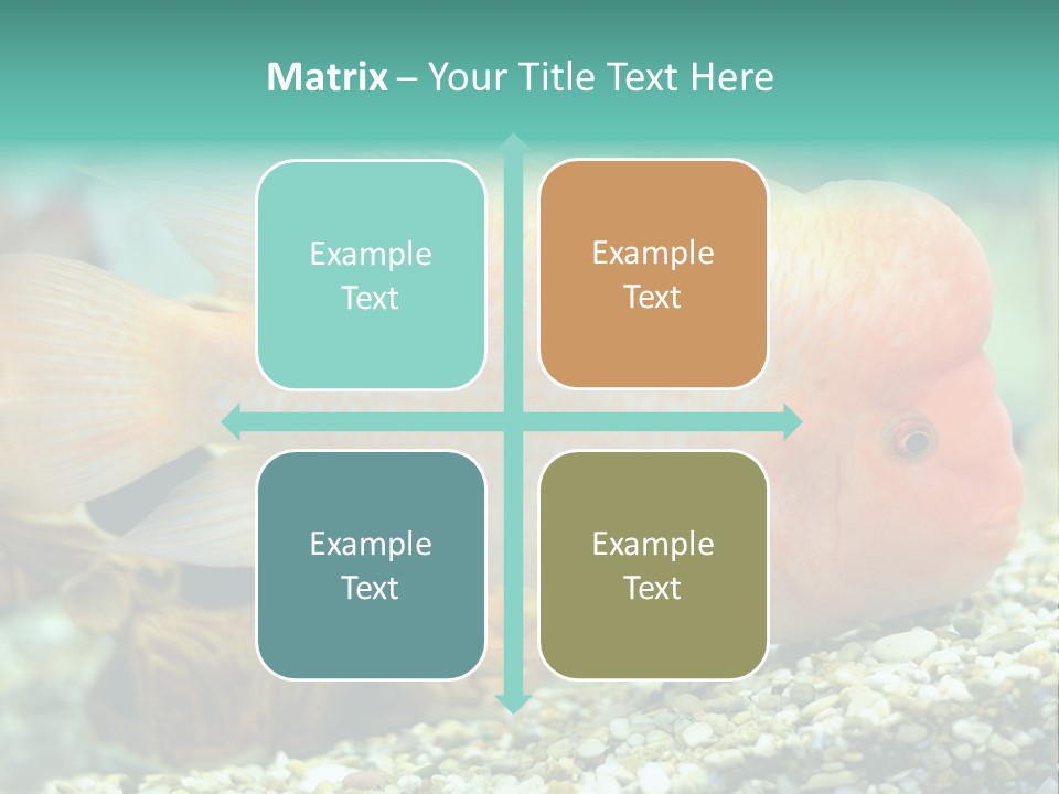 Life Image Organism PowerPoint Template