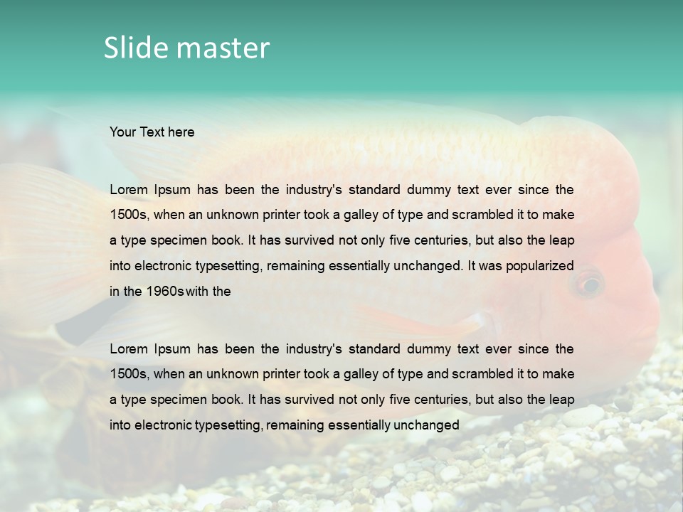 Life Image Organism PowerPoint Template