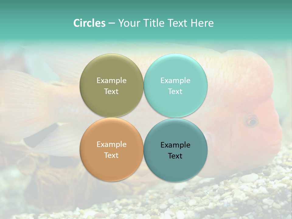 Life Image Organism PowerPoint Template