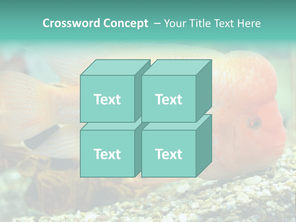 Life Image Organism PowerPoint Template