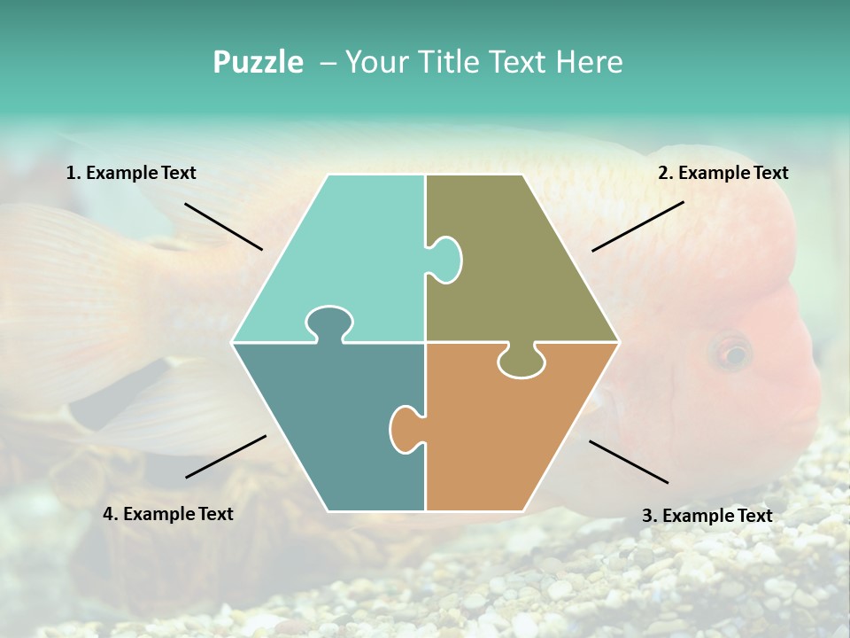 Life Image Organism PowerPoint Template