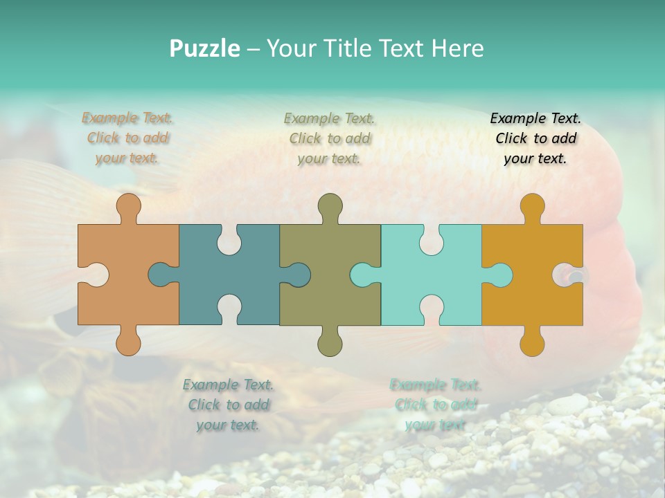 Life Image Organism PowerPoint Template