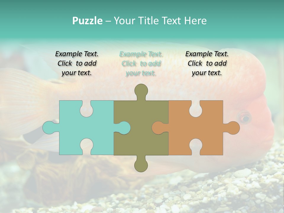 Life Image Organism PowerPoint Template